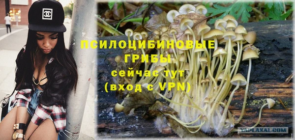 круглые Бородино