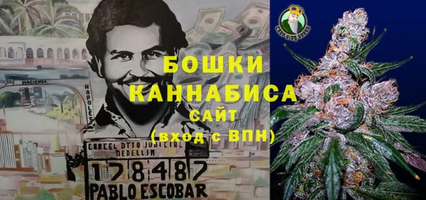 круглые Бородино