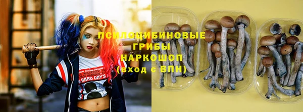 круглые Бородино