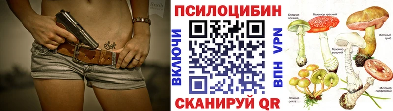 Псилоцибиновые грибы Psilocybine cubensis  Череповец 